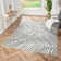 Le Monde Abstract Indoor Rug