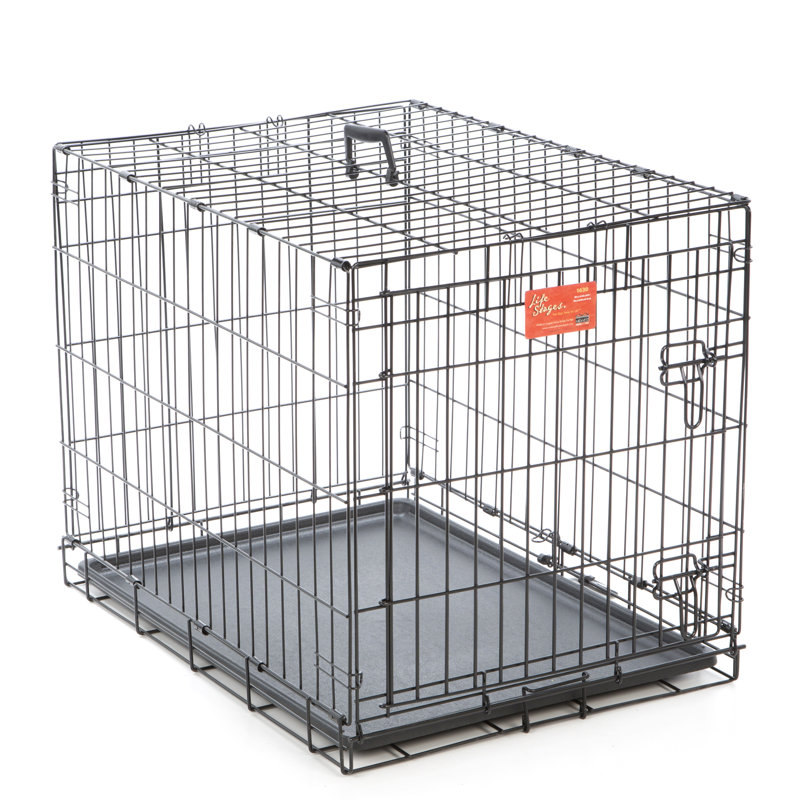 Cage pour chien MidWest Homes for Pet, Moyen (H 24 po x l 21 po x P 30 po)