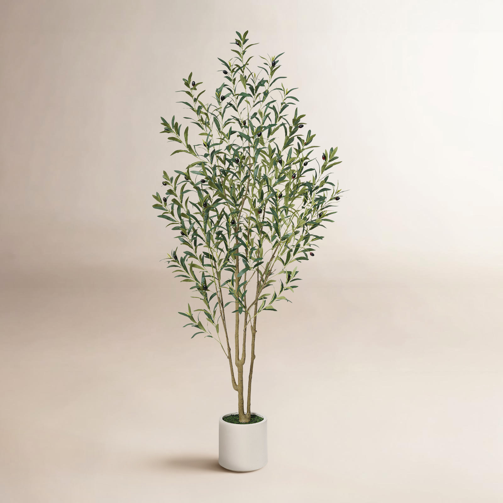 George Artificial Olive Tree in Round Planter, UV Protected Faux Olive Tree for Indoor Home Decor, 72" H x 24" W x 24" D