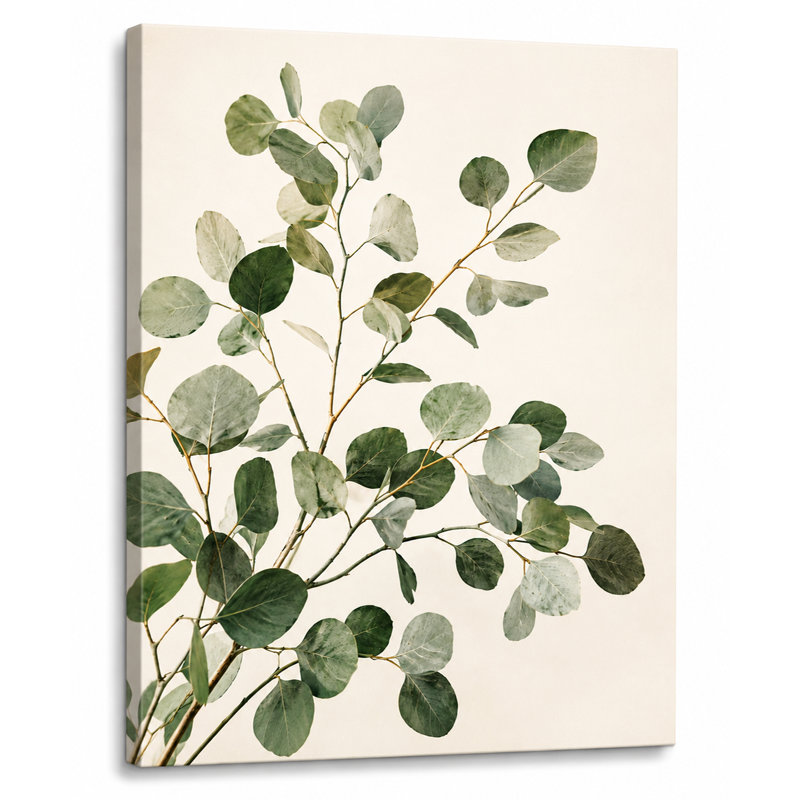 «Eucalyptus Branch Study», art mural botanique vert sur toile tendue, L 24 po x H 36 po x P 1,5 po