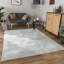 Shawsheen Solid Colour Area Rug-963455055