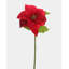 White Poinsettia 24”-644649063