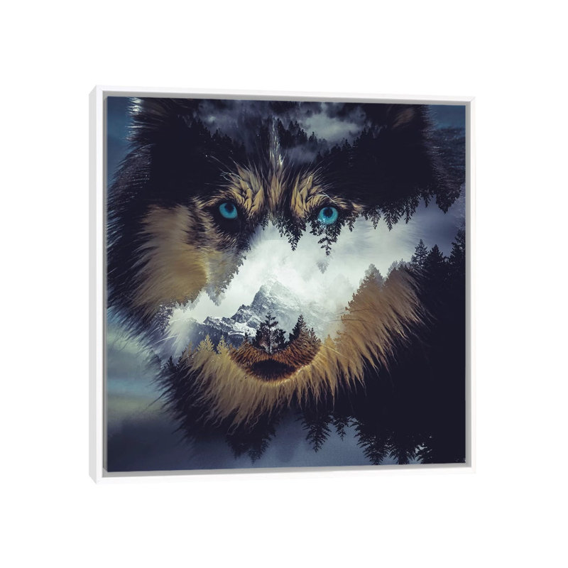 Dog by Paul Haag - Print on Canvas, 66.04 cm H x 66.04 cm W, White Framed