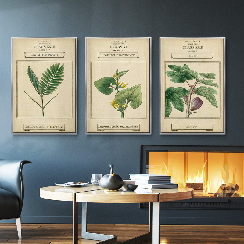 Linnaean Botany IV, ensemble de 3 toiles encadrées sur toile, H 36 po x l 72 po x P 2 po, Encadrement argenté