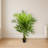 Kentia Palm Artificial Tree