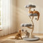 Tour pour chat 48 po H 48,4 po