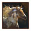 Spirit Spirit, art encadré-52155944-52155945