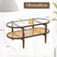 Alitha Coffee Table with Storage