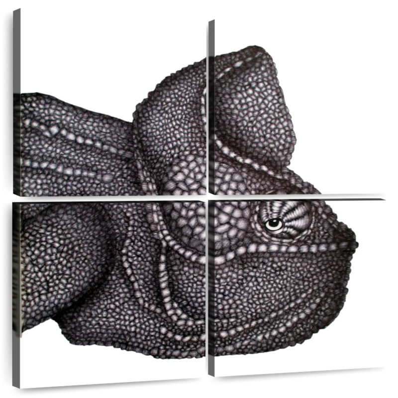 Brampt Carlos, 74" H x 74" W
