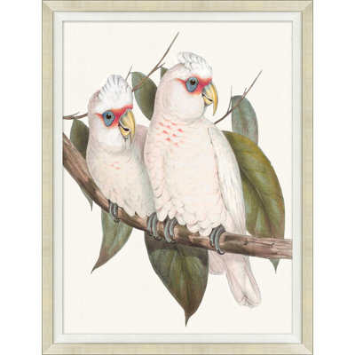 Cocatoo 1 Print