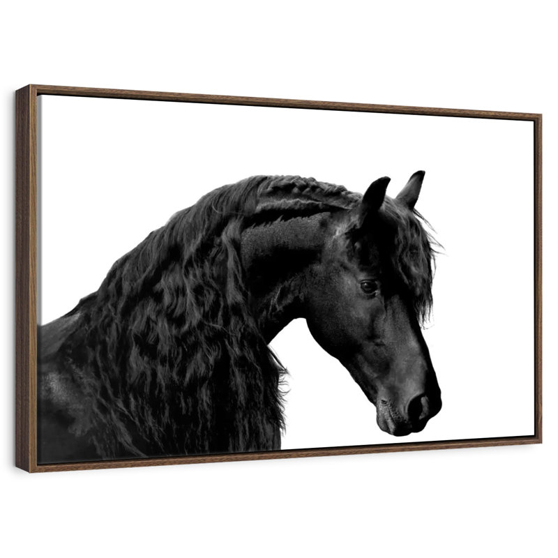 Noir classique I, 43 po x 29 po, Cadre flottant noyer
