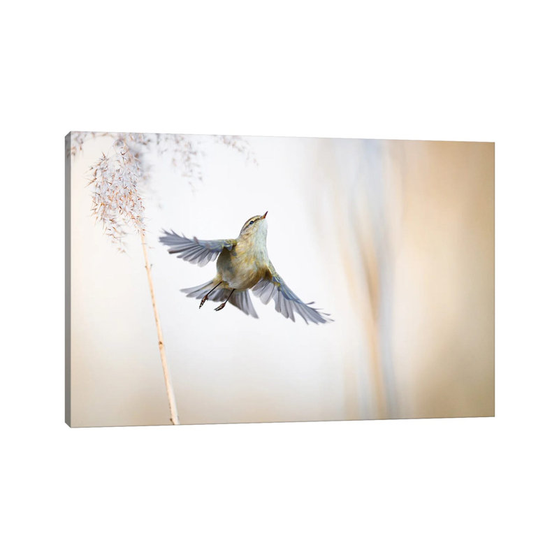 Ethereal by Mateusz Piesiak - Wrapped Canvas Print
