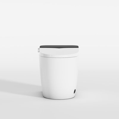 Toilette intelligente H2 avec bidet, siège chauffant et télécommande - sans réservoir, 110 V