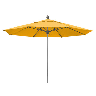 Wilhide Umbrella