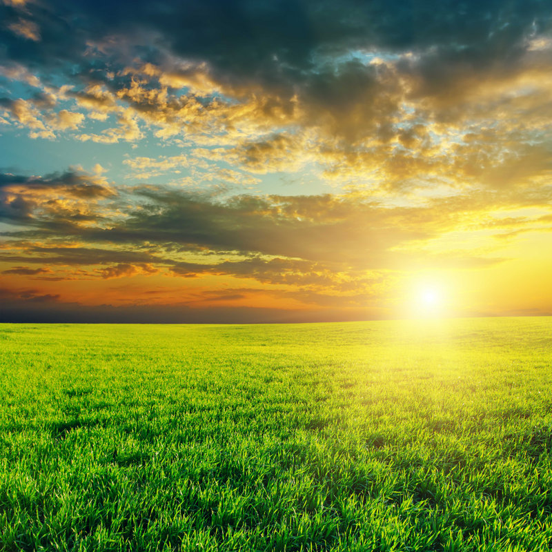 «Green Field and Sunset» par Mycola - Photographie sur toile tendue, L 36 po x H 36 po
