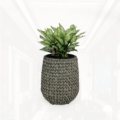Pot à fleurs en osier 13,4 po