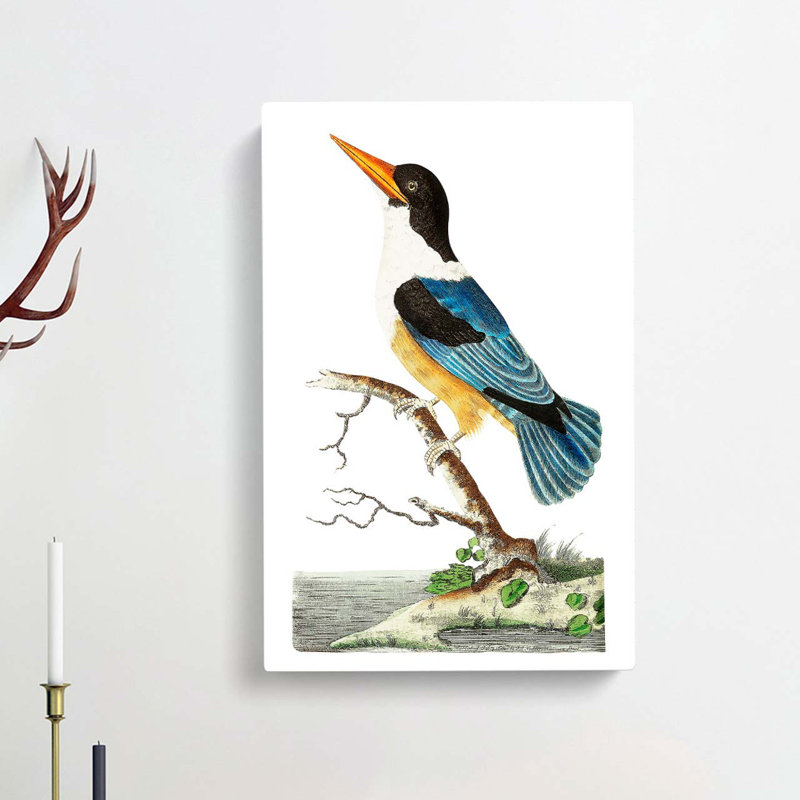 Blue Kingfisher by George Shaw - Wrapped Canvas, 60cm H x 40cm W x 3cm D