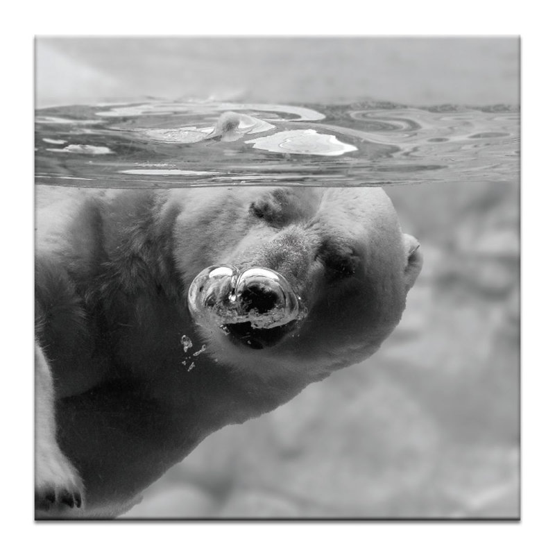 Wrapped Canvas Print, 61cm H x 61cm W