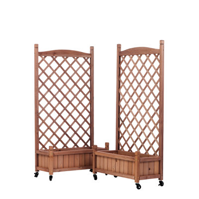 Lit de jardin surélevé avec treillis - paquet de 2 - jardinière en bois pour l'extérieur et support pour plante 30 couches