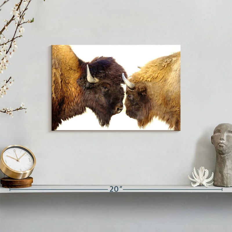 Brampt Bisons I, 8" H x 12" W