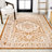 Moten Medallion Textured Weave Orange/Cream Indoor/Outdoor Rug-211141334