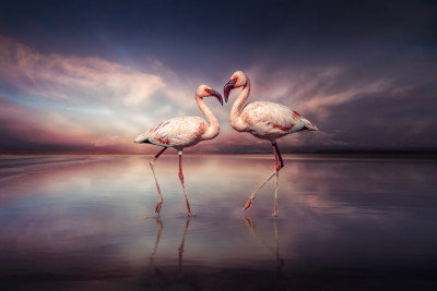 Wrapped Canvas Print, 50.8 cm H x 76.2 cm W