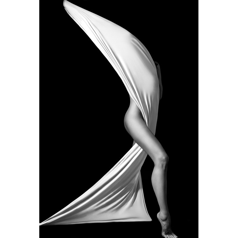 Hidden Beauty - Print on Plastic / Acrylic, 120cm H x 80cm W x 10cm D, Unframed