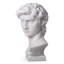 Buste David
