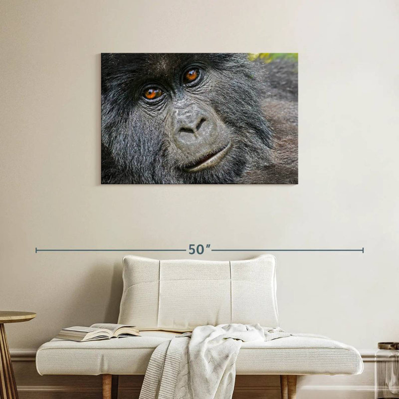 Gorilla Face, 24" H x 36" W