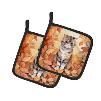 Paire de porte-pots Scottish Fold