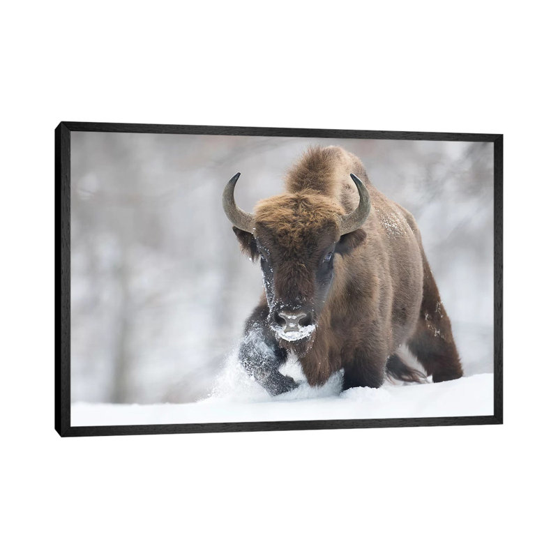 Rewilded 1 Piece Wall Art on Canvas, 45.72cm H x 66.04cm W x 3.81cm D, Black Floater Framed