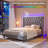 Bed Frame With 51"High Velvet Upholstered  Wingback Headboard, Platform Bed With Charging Station And Led Lights-655026587-655026586