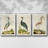 " Heron Portrait I " 3 - Pieces-97792282-97792278