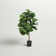 Sand & Stable Faux Fiddle Leaf Fig Tree In Pot & Reviews 