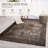 Finnuala Oriental Indoor Rug-314474674