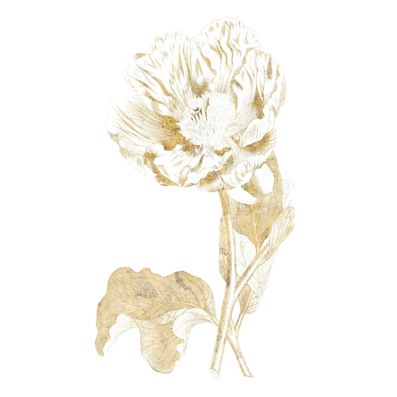 «Gilded Botanical VII» par Wild Apple Portfolio - reproduction sur toile, L 12 po x H 16 po