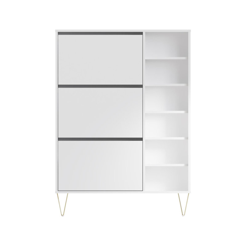 15 Pair Shoe Storage Cabinet