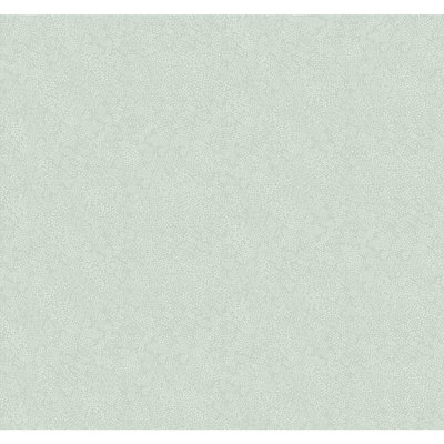 Rouleau de papier peint champagne 27 pi x 27 po Champagne Dots