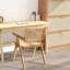 Fauteuil Puneeth
