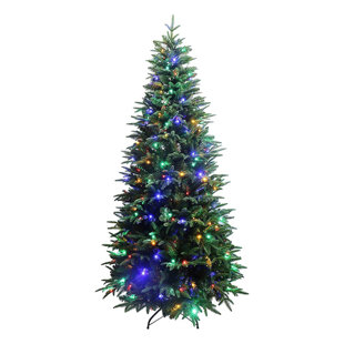 Lighted Christmas Tree