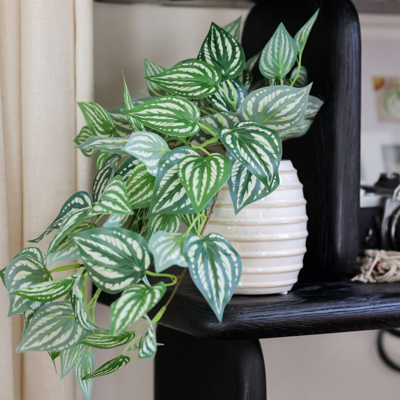 Trailing Ivy In 4.75" Ceramic 4.75*4.75*5