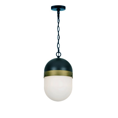 Capsule 1 - Light LED Outdoor Pendant