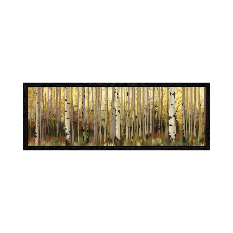 Forest Light by Allison Pearce - Panoramic Print on Canvas, Black Framed Canvas, 121.92 cm H x 40.64 cm W