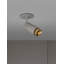 1 - Light Spotlight-2078808013