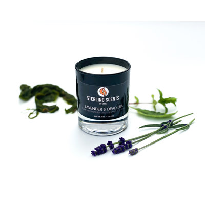 The Mini Noir Scented Unscented Flameless Jar Candle with Glass Holder