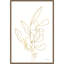 Racines florales V or-828930418