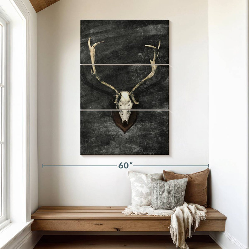 Crâne de cerf trophée Kerner, H 50 po x l 32 po