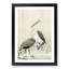 Two Herons in the Rain by Ohara Koson - Picture Frame Painting Print-55614653-55614650