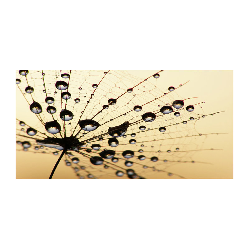 The Dandelion Was Sown - Wrapped Canvas Print