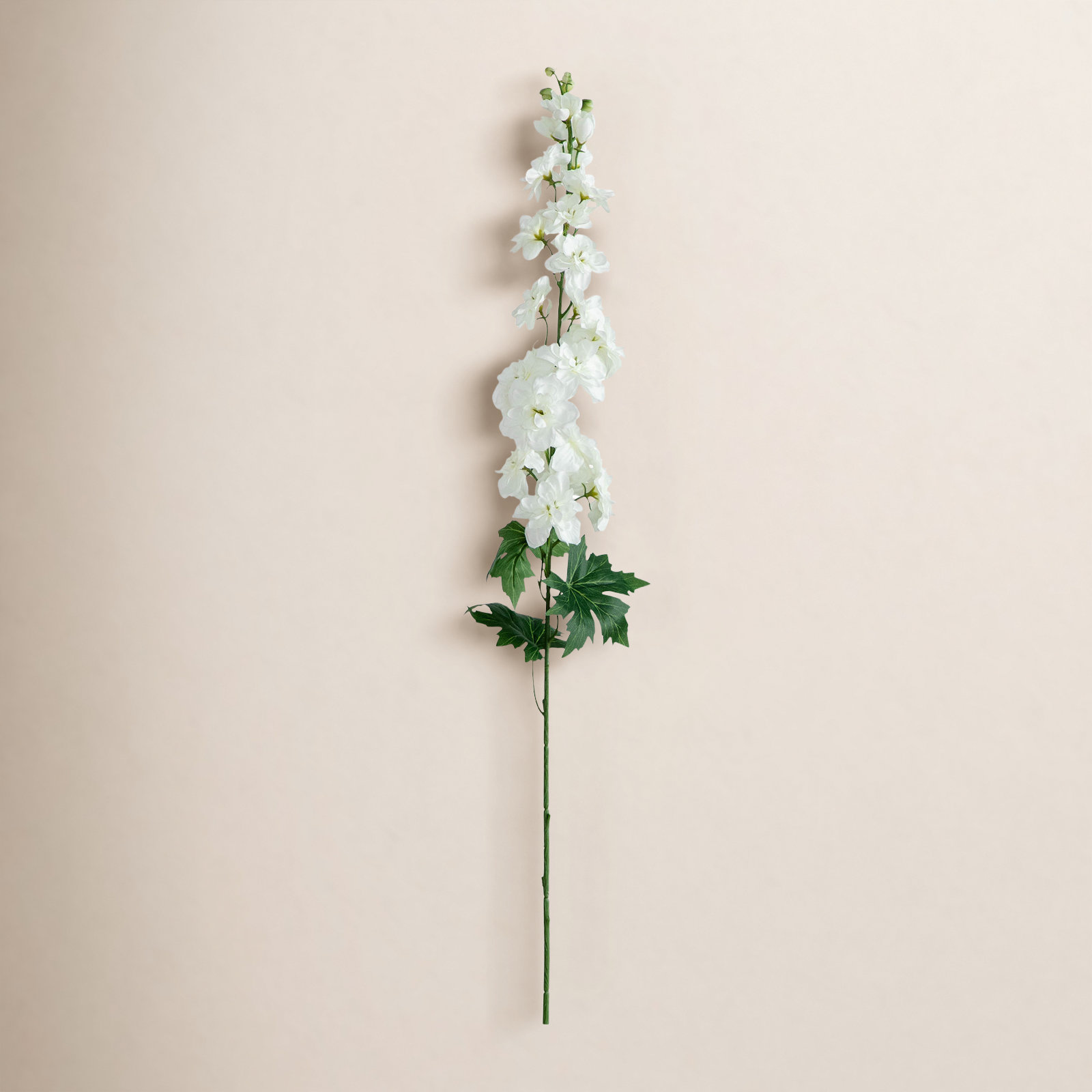 Delphinium Floral Stems, White
